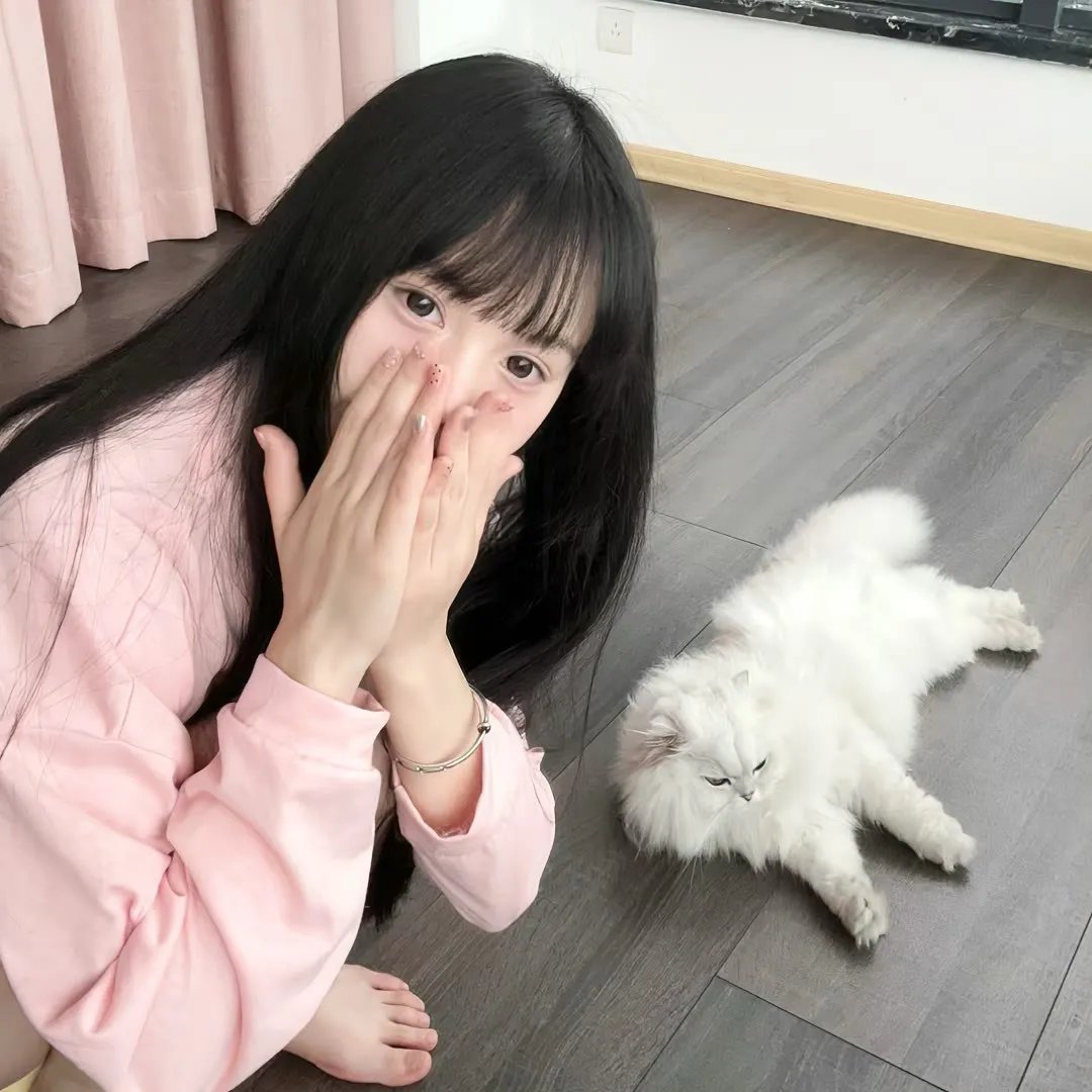 穿靴子的猫：萌猫三剑客